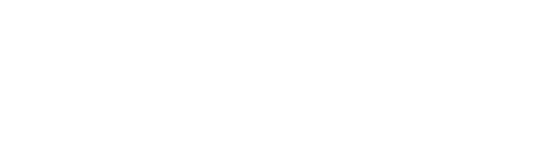 conetaconsig_logo_2